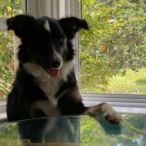 Meet your Posher, Jaymie